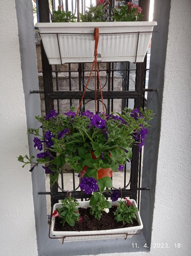 Sokak Apartment *